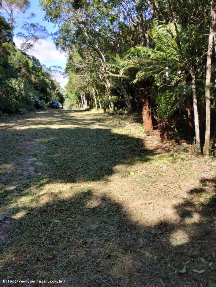 Terreno à venda, 2632m² - Foto 7