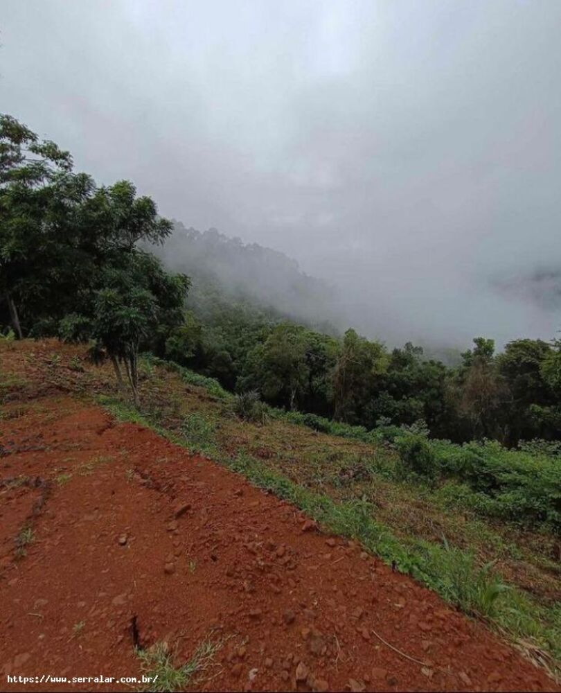 Sítio, 3 m² - Foto 5