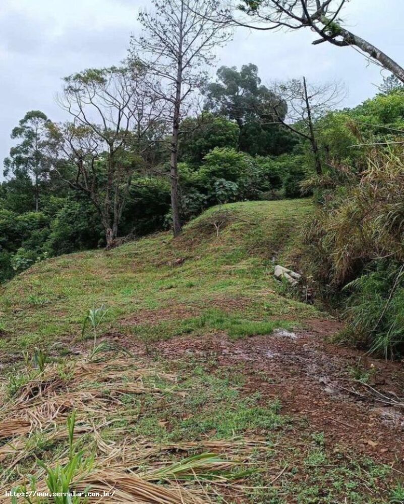 Sítio, 3 m² - Foto 7