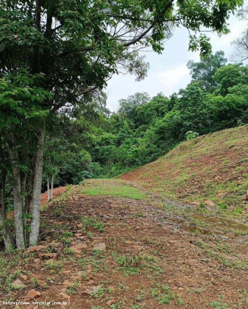 Sítio, 3 m² - Foto 8