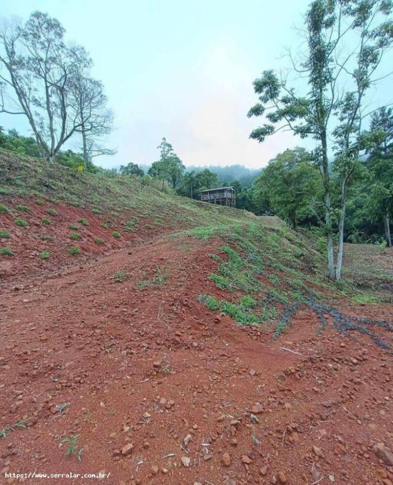 Sítio, 3 m² - Foto 3