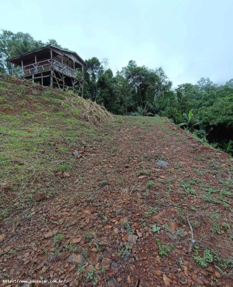 Sítio, 3 m² - Foto 1