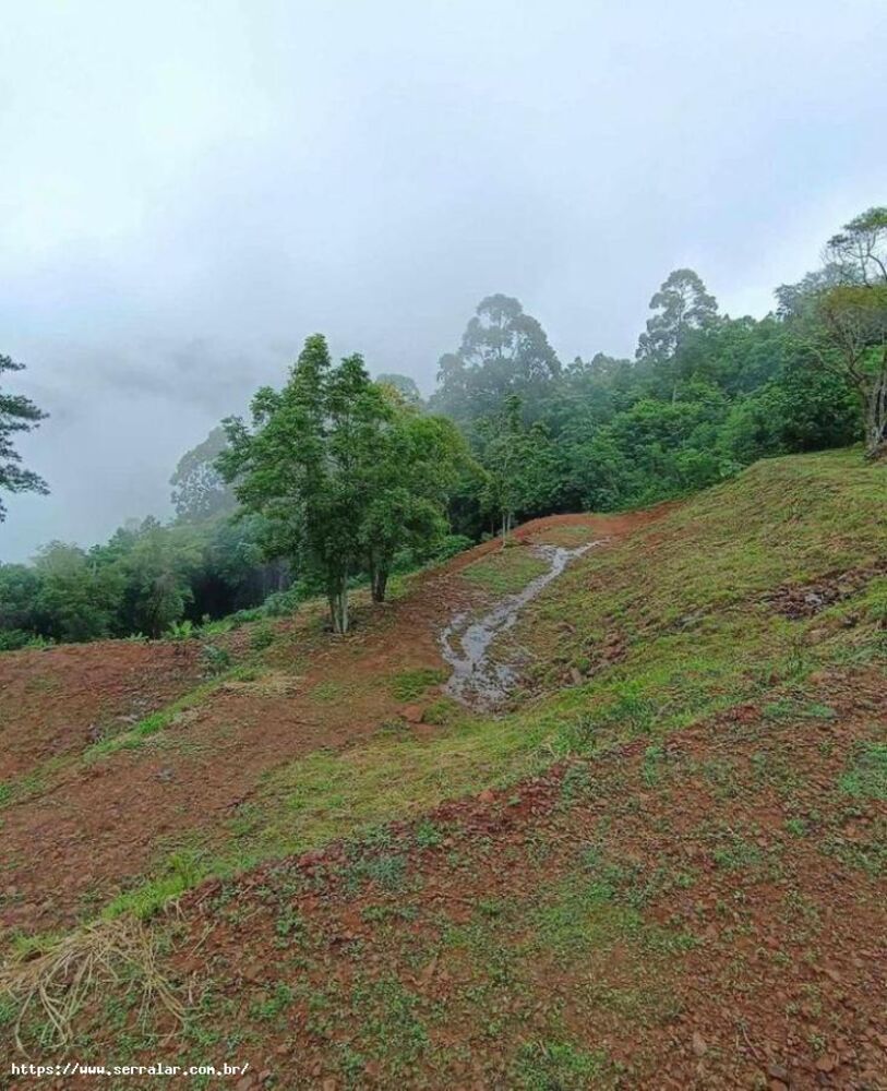 Sítio, 3 m² - Foto 2