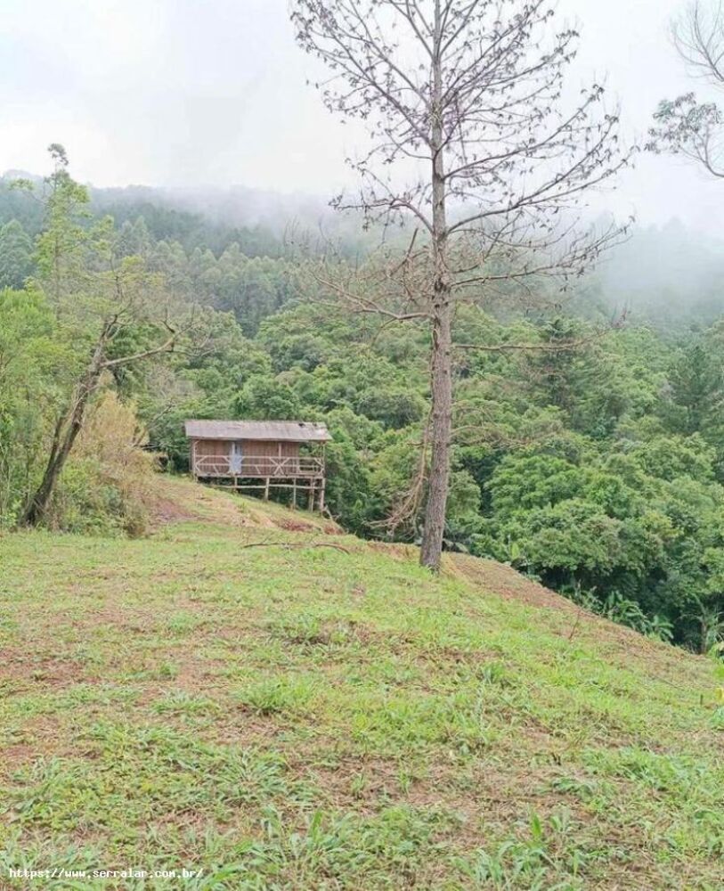 Sítio, 3 m² - Foto 6