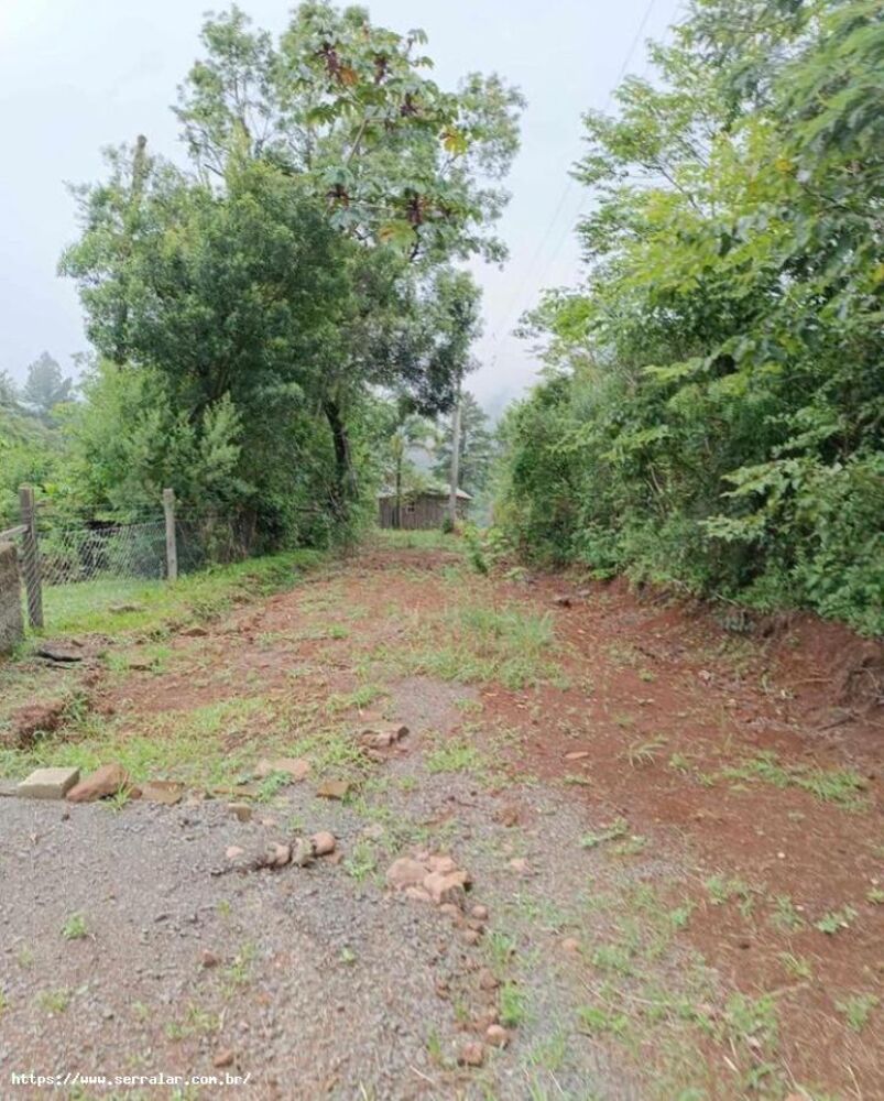 Sítio, 3 m² - Foto 4