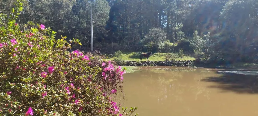 Fazenda à venda, 7m² - Foto 2