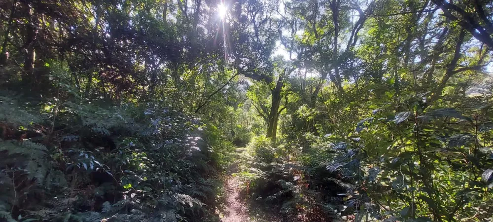 Fazenda à venda, 7m² - Foto 4