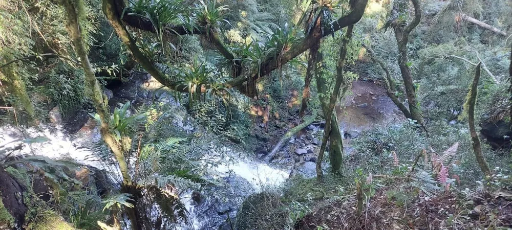 Fazenda à venda, 7m² - Foto 3