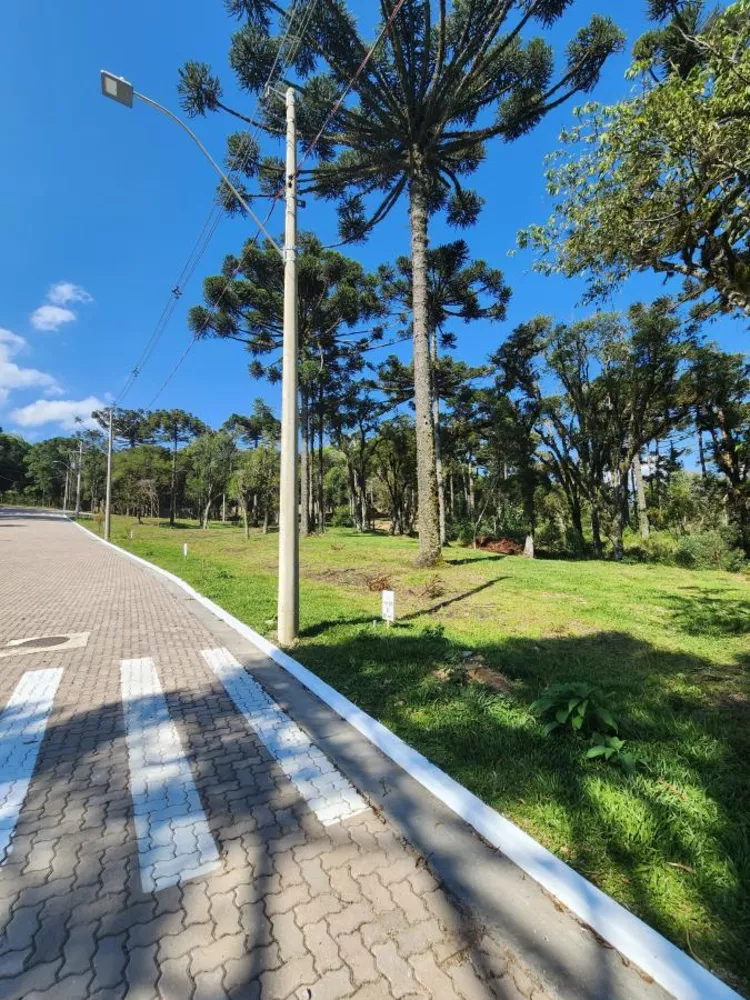 Terreno, 421 m² - Foto 1