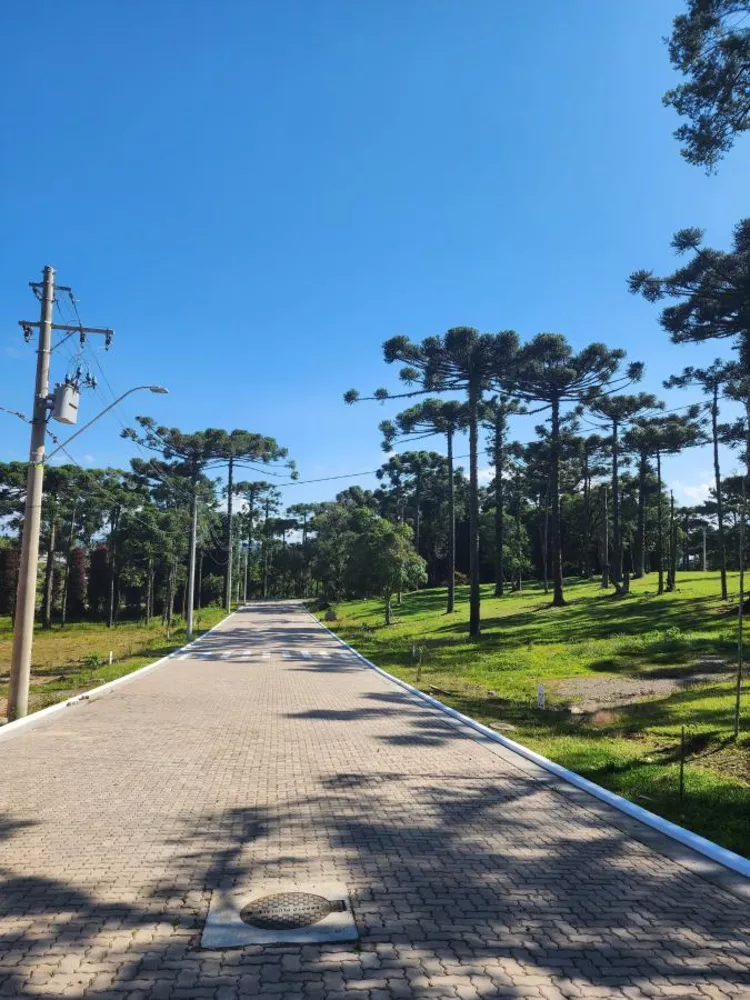 Terreno, 421 m² - Foto 6