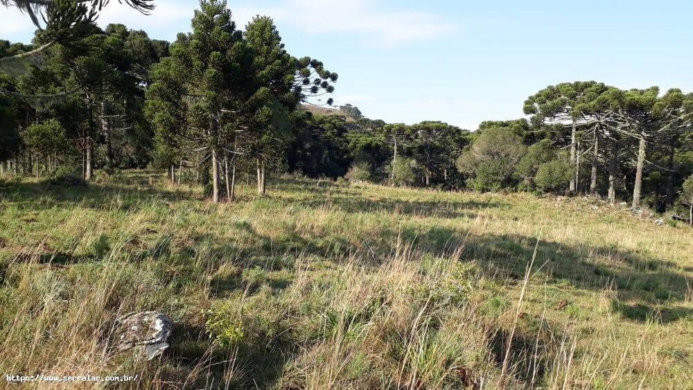 Fazenda à venda, 34m² - Foto 8