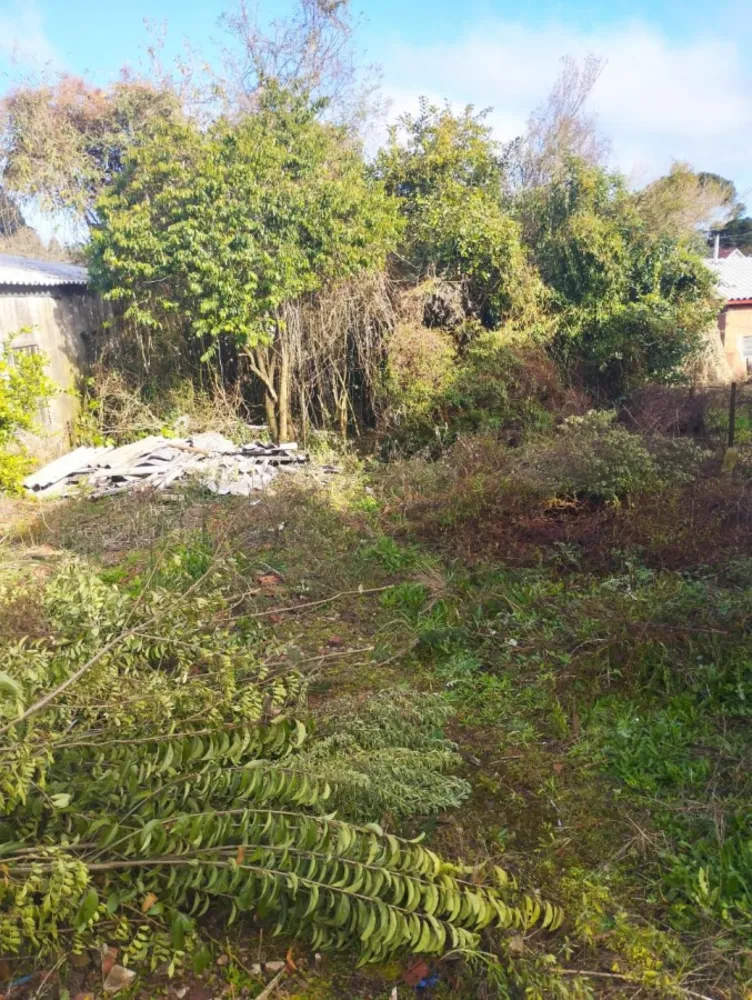 Terreno, 278 m² - Foto 3