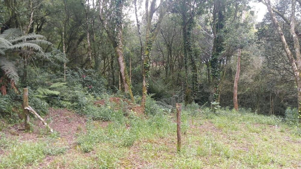 Terreno, 611 m² - Foto 4