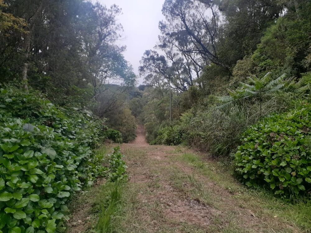 Terreno, 362 m² - Foto 6