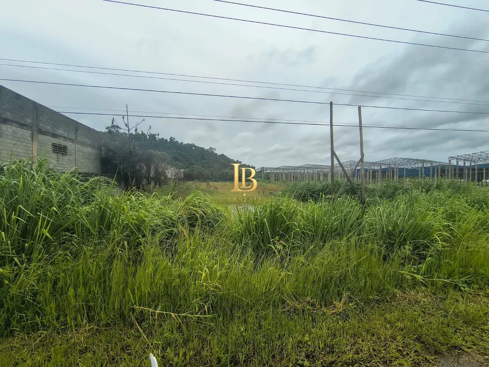 Prédio Inteiro, 5000 m² - Foto 2
