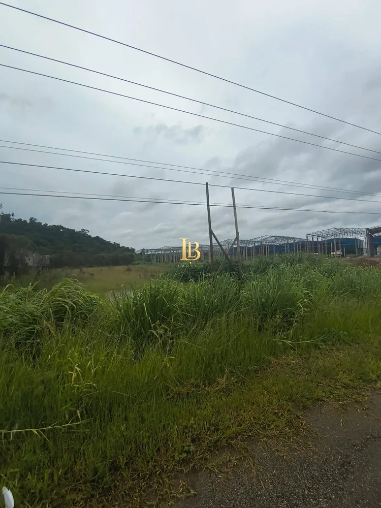 Prédio Inteiro, 5000 m² - Foto 3