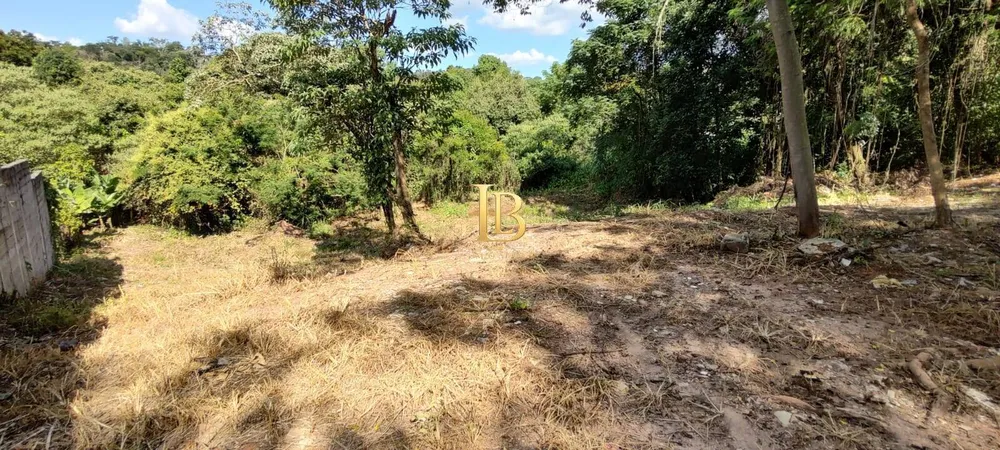Terreno, 1196 m² - Foto 2