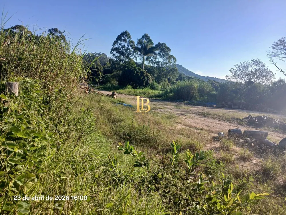 Terreno, 2 hectares - Foto 4