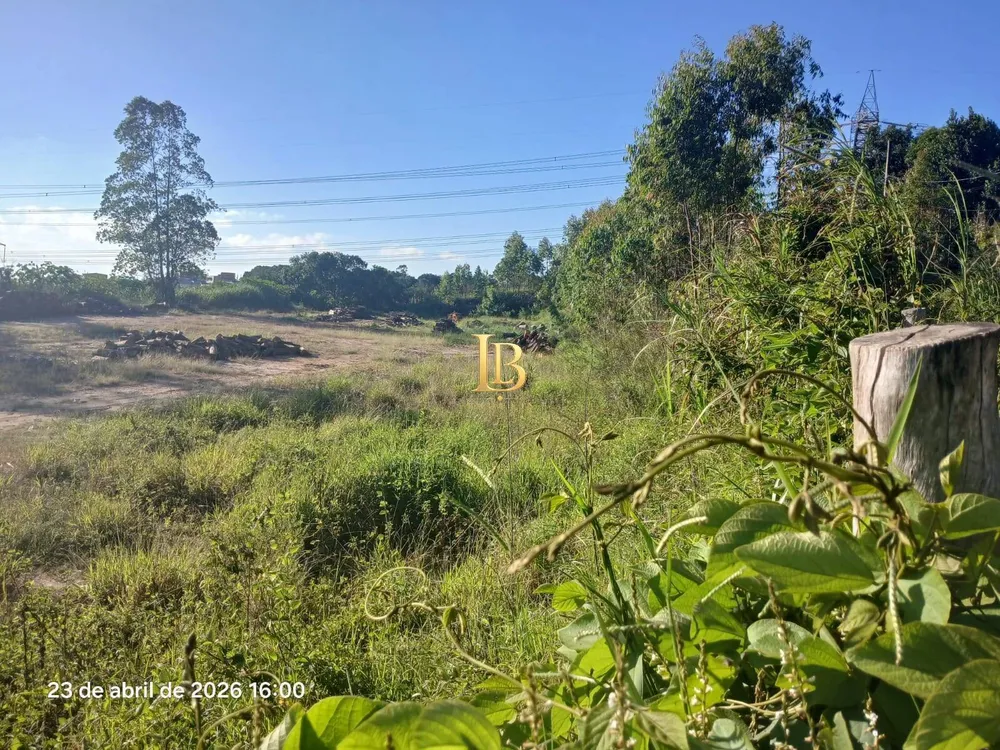 Terreno, 2 hectares - Foto 3
