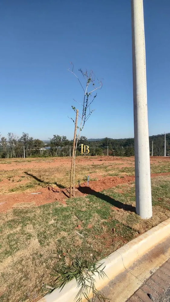 Terreno, 1000 m² - Foto 3