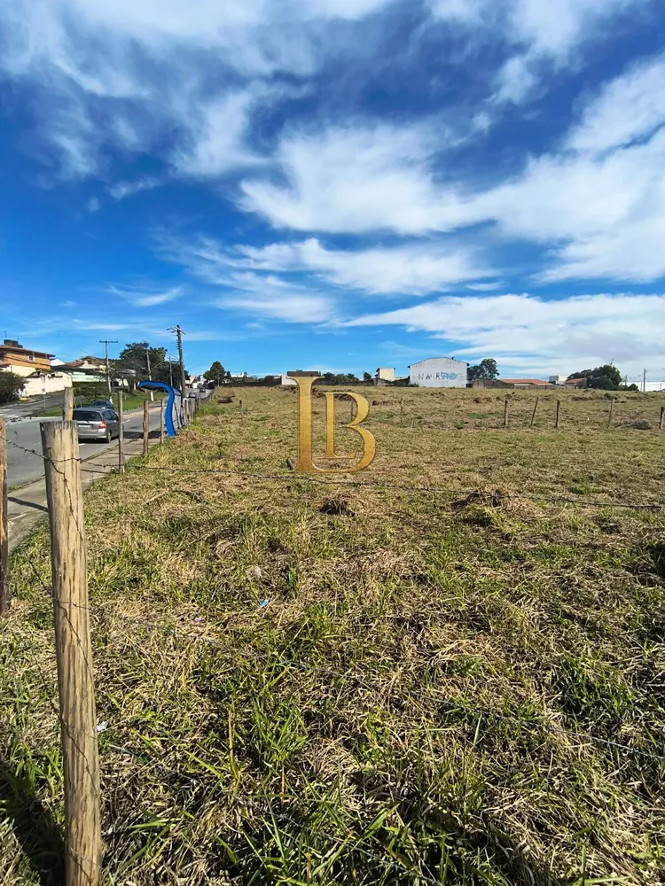 Terreno, 2 hectares - Foto 2