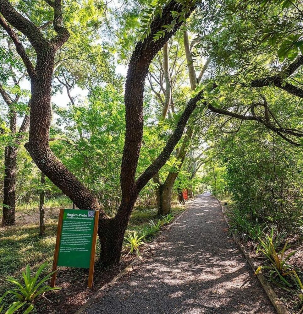 Terreno, 587 m² - Foto 7