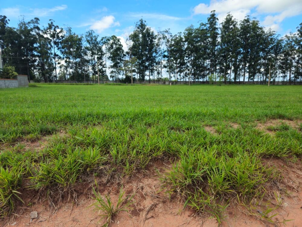 Terreno, 452 m² - Foto 1