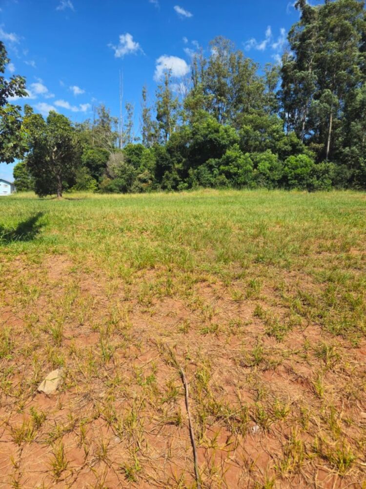 Terreno, 1166 m² - Foto 2