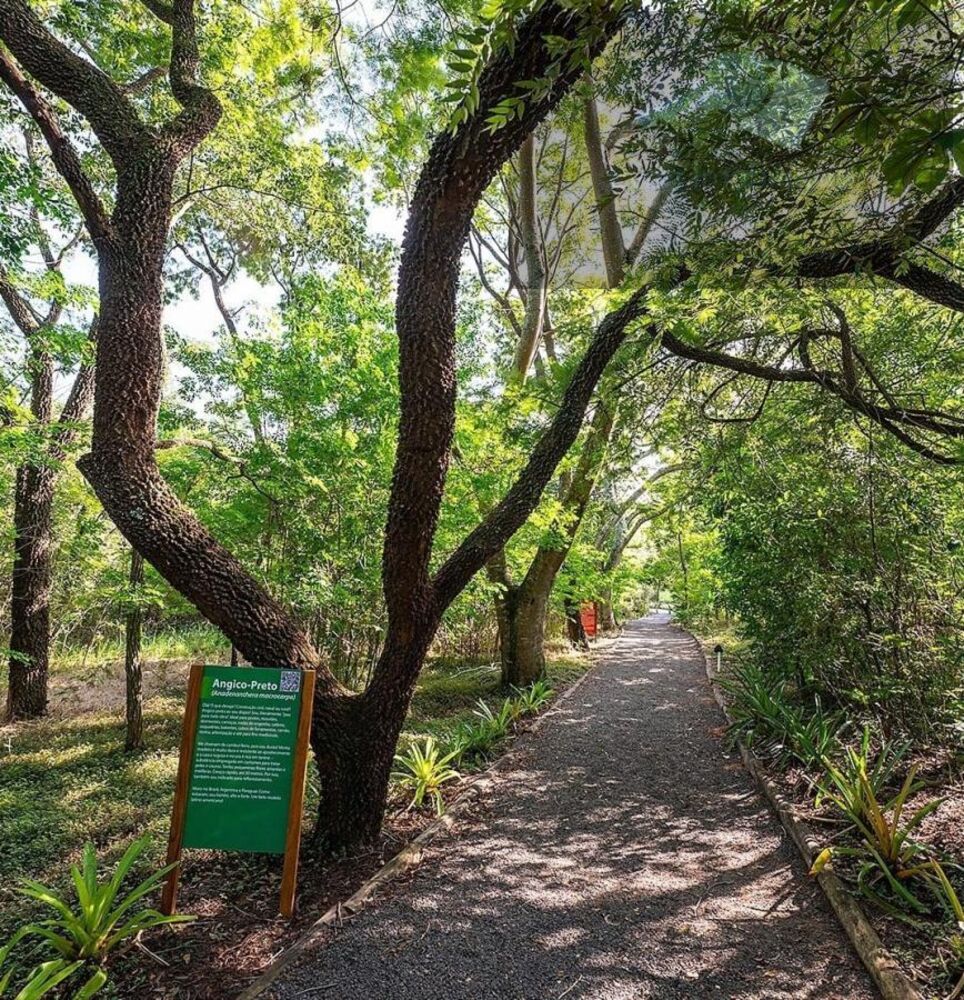 Terreno, 471 m² - Foto 6