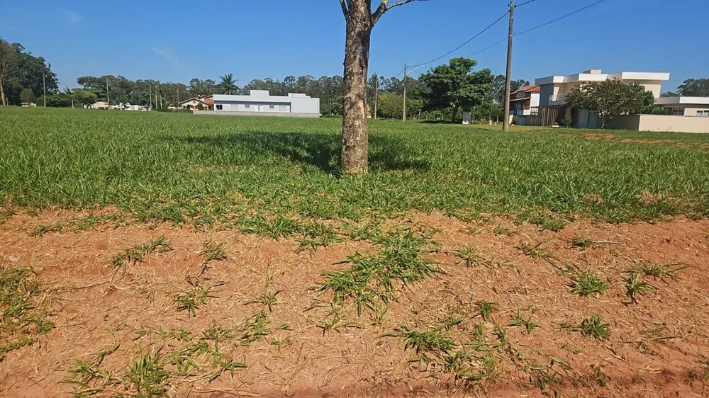 Terreno, 533 m² - Foto 3