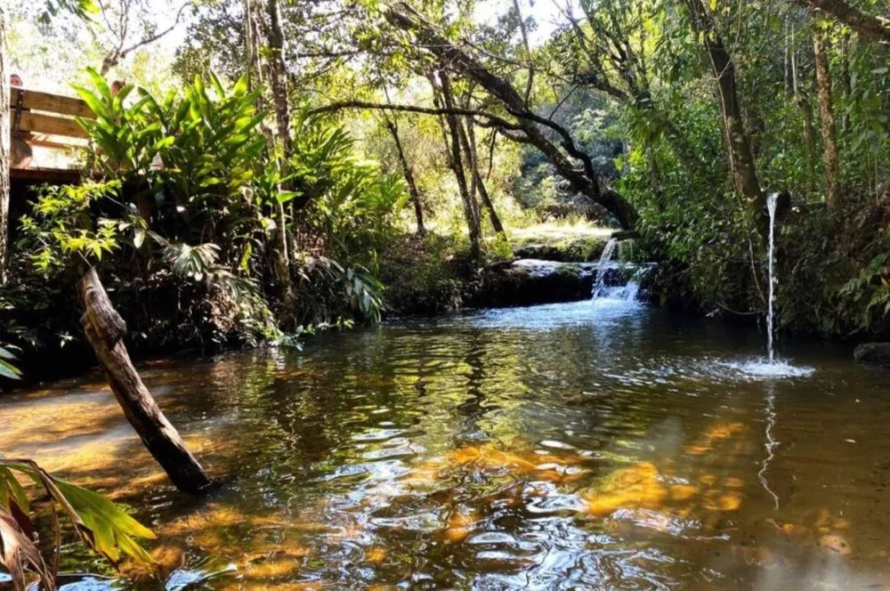 Casa de Condomínio, 4 quartos - Foto 7