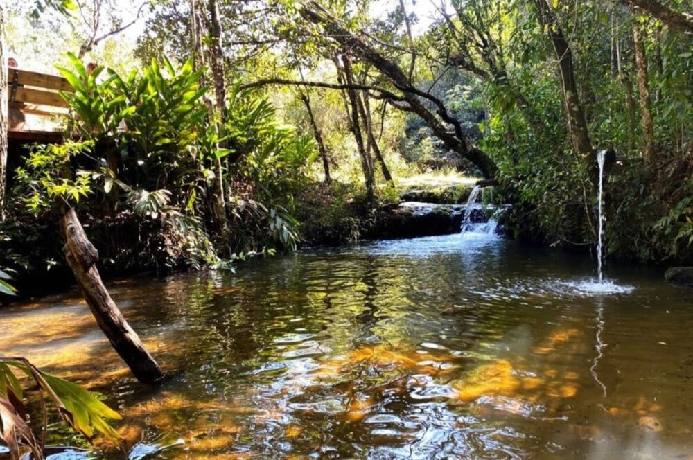 Terreno, 742 m² - Foto 7