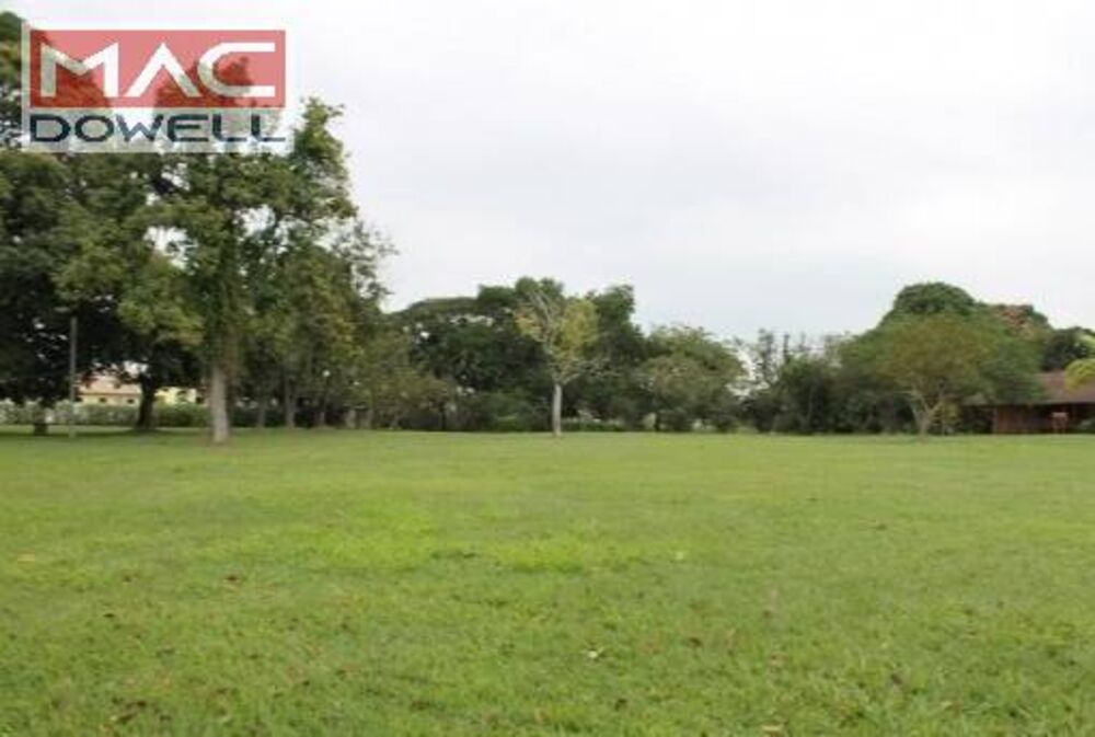 Terreno à venda e aluguel, 50000m² - Foto 3
