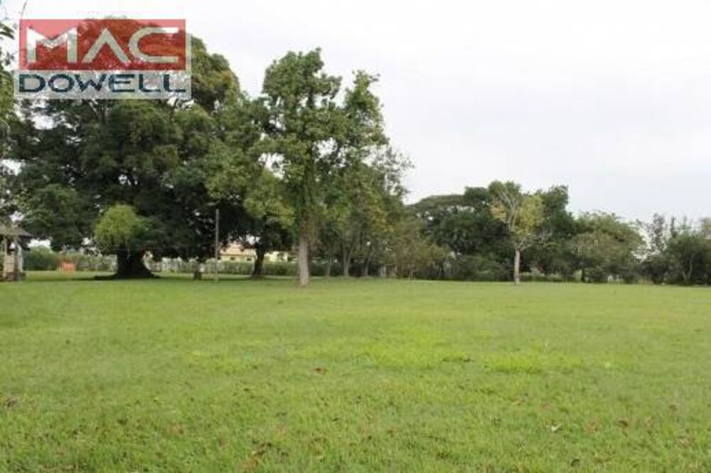 Terreno à venda e aluguel, 50000m² - Foto 2