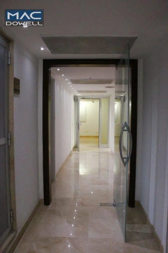 Sala-Conjunto, 260 m² - Foto 4