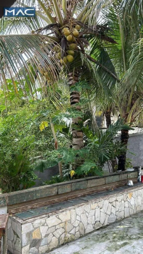 Casa, 3 quartos, 250 m² - Foto 16