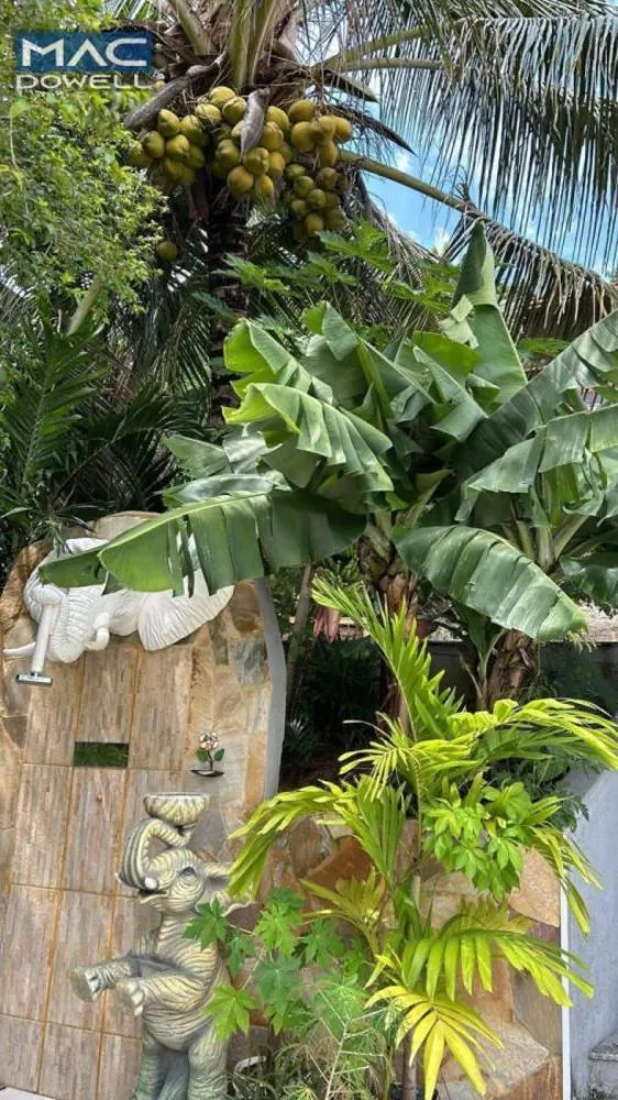 Casa, 3 quartos, 250 m² - Foto 49
