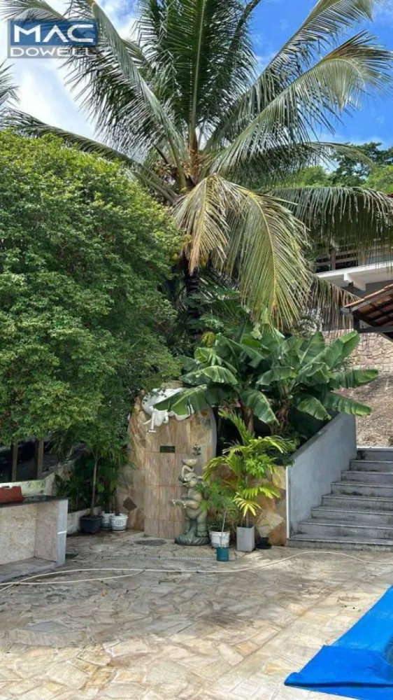 Casa, 3 quartos, 250 m² - Foto 45