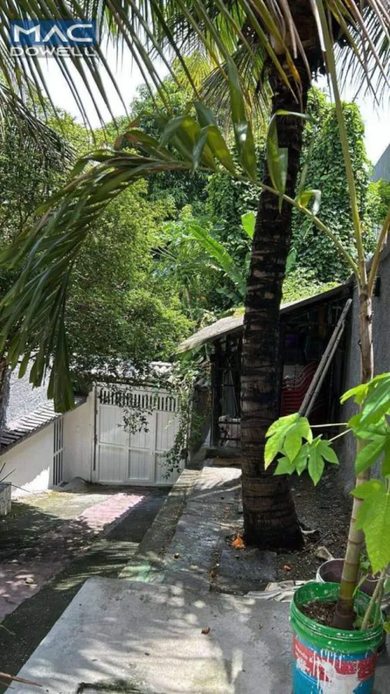 Casa, 3 quartos, 250 m² - Foto 31