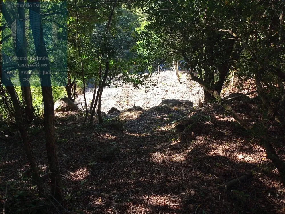 Terreno, 1575 m² - Foto 6