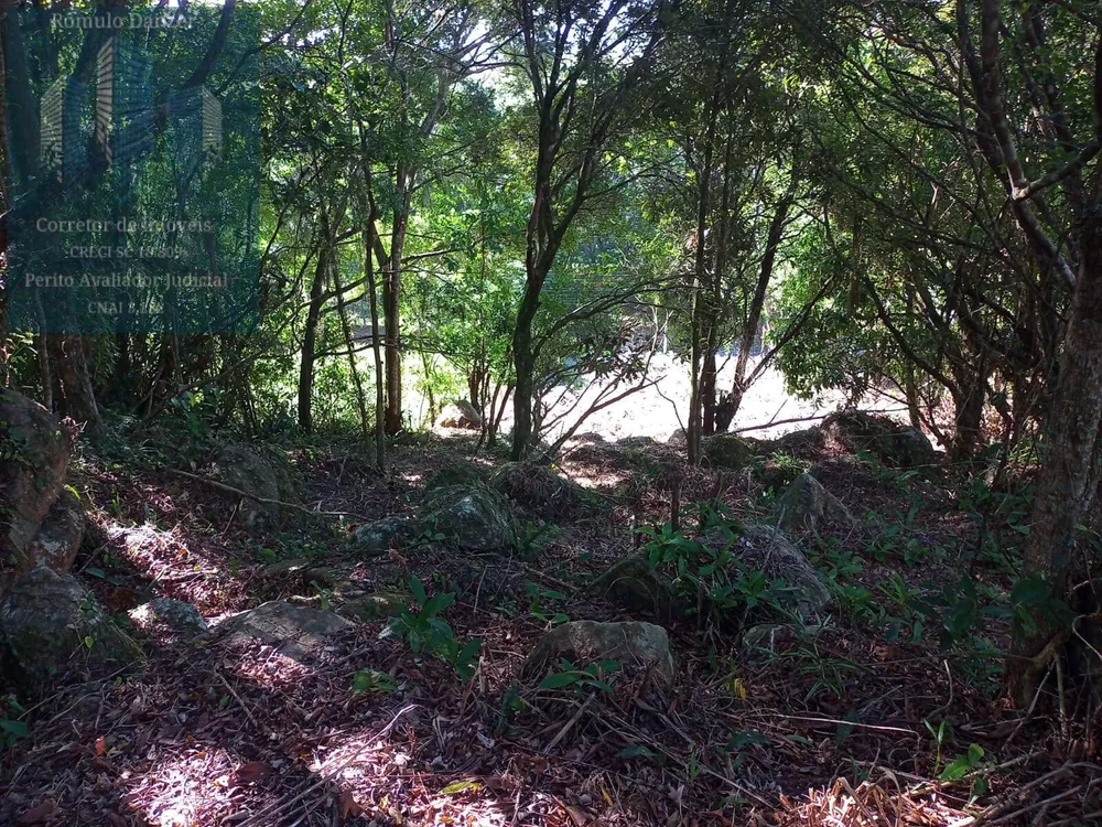 Terreno, 1575 m² - Foto 3