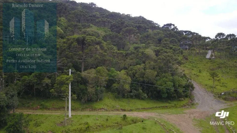 Terreno, 10000 m² - Foto 2