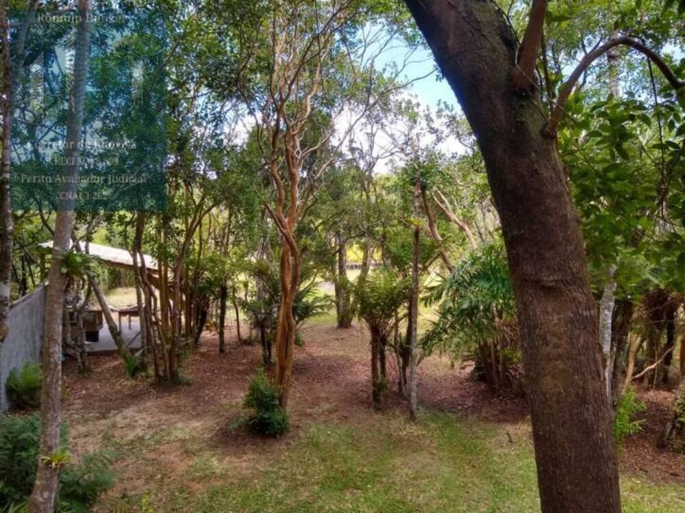 Sítio, 7 quartos, 4014 m² - Foto 4