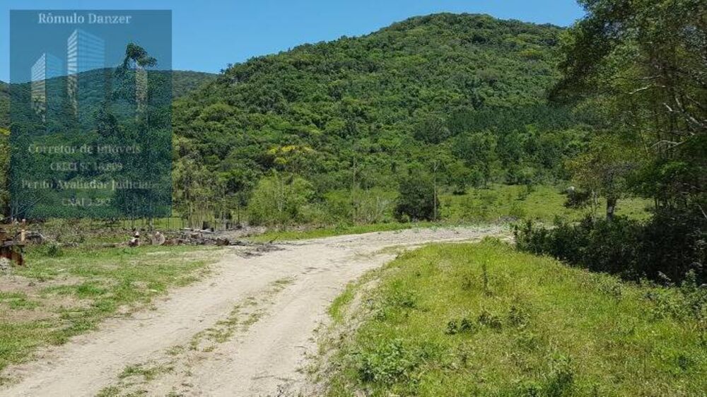 Fazenda, 125 hectares - Foto 3