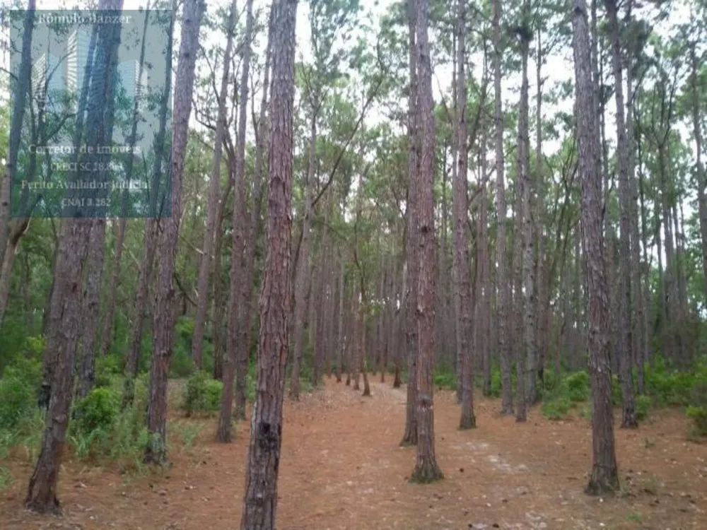 Sítio, 2 quartos, 125 hectares - Foto 16