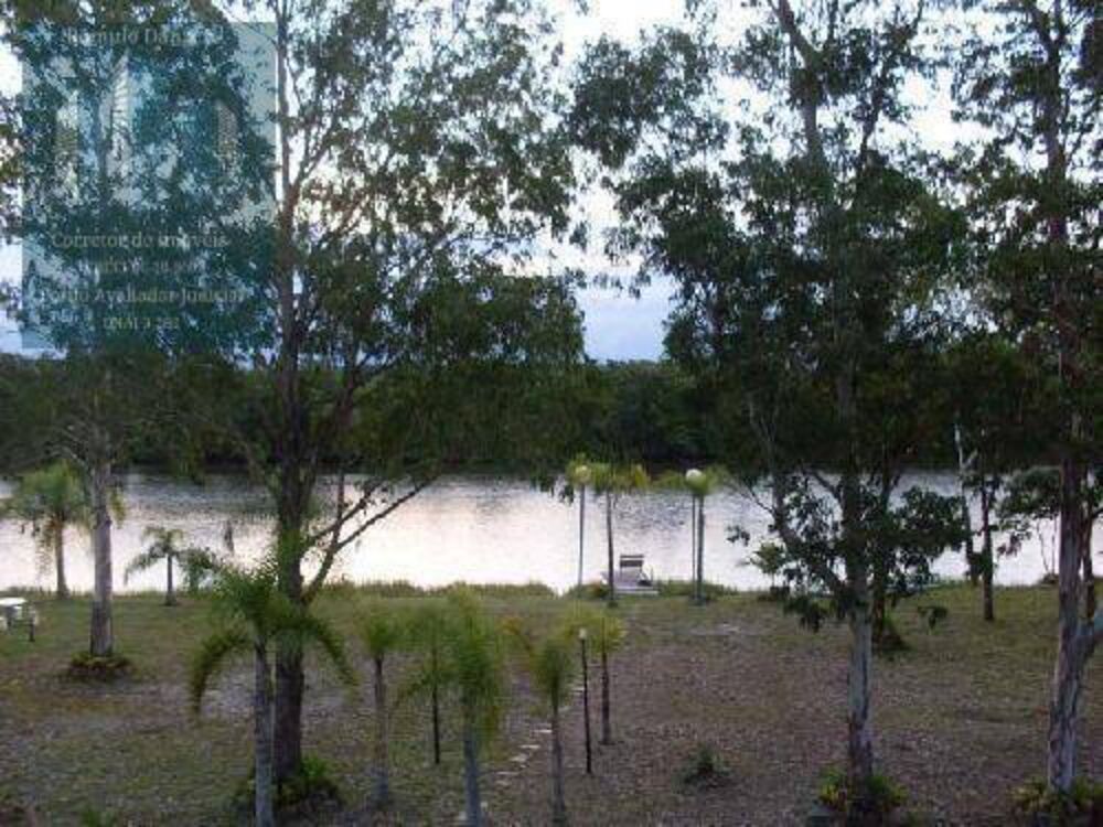 Terreno, 4 hectares - Foto 6