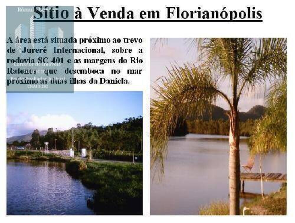 Terreno, 4 hectares - Foto 1