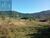 Sítio, 2 quartos, 2 hectares - Foto 4