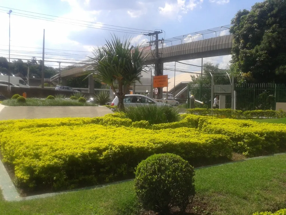 Sala-Conjunto, 1119 m² - Foto 8