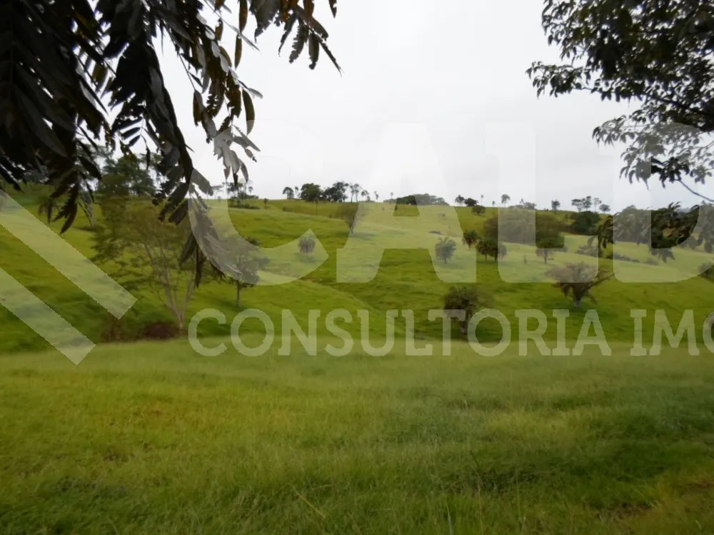 Fazenda - Foto 6
